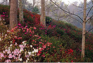 腾讯新游戏涉嫌抄袭 索尼在美国发起版权和商标侵权诉讼